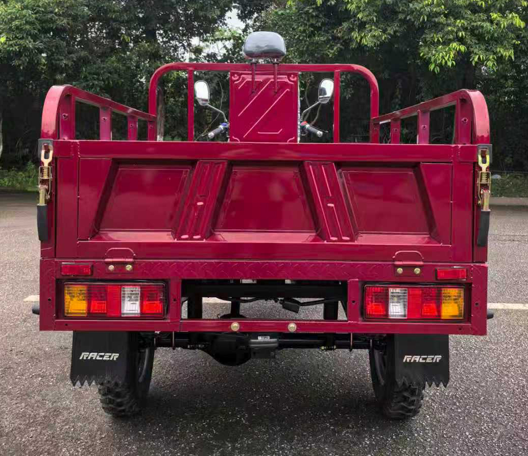 фото RC250ZH Muravei