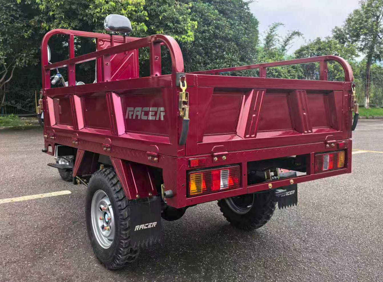 фото RC250ZH Muravei
